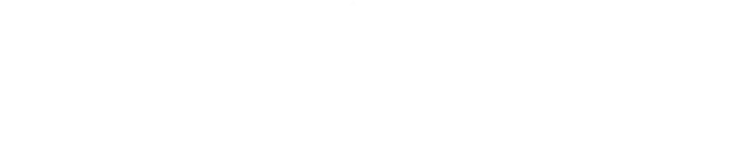 domestika-logo-bianco